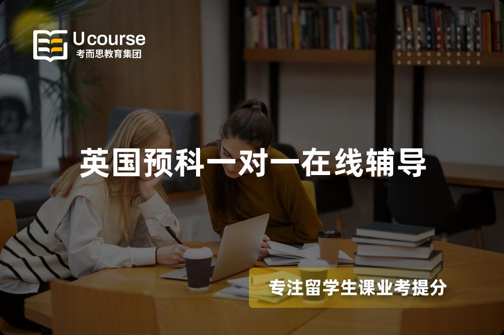 英国预科一对一在线辅导