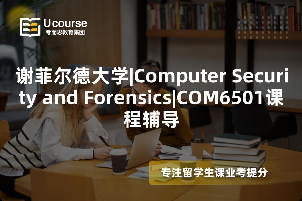 谢菲尔德大学|Computer Security and Forensics|COM6501课程辅导