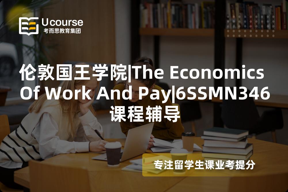 伦敦国王学院|The Economics Of Work And Pay|6SSMN346课程辅导