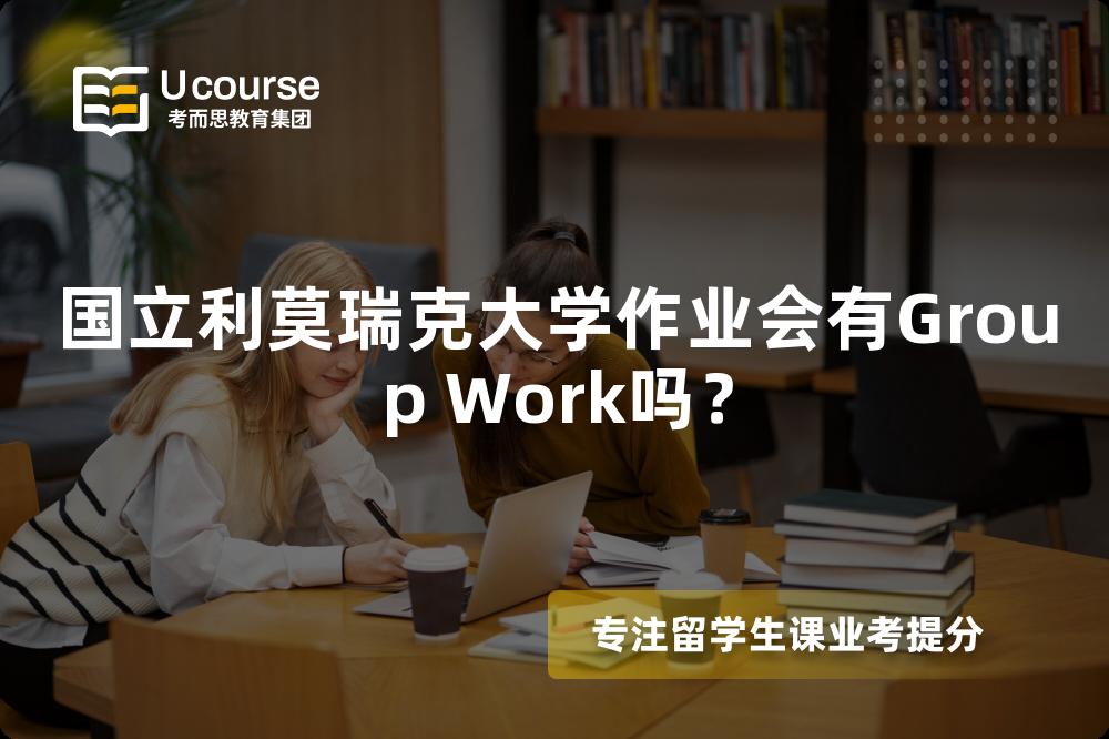 国立利莫瑞克大学作业会有Group Work吗？