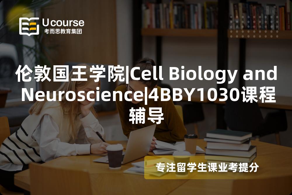 伦敦国王学院|Cell Biology and Neuroscience|4BBY1030课程辅导