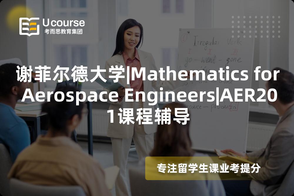 谢菲尔德大学|Mathematics for Aerospace Engineers|AER201课程辅导