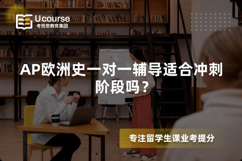 AP欧洲史一对一辅导适合冲刺阶段吗？