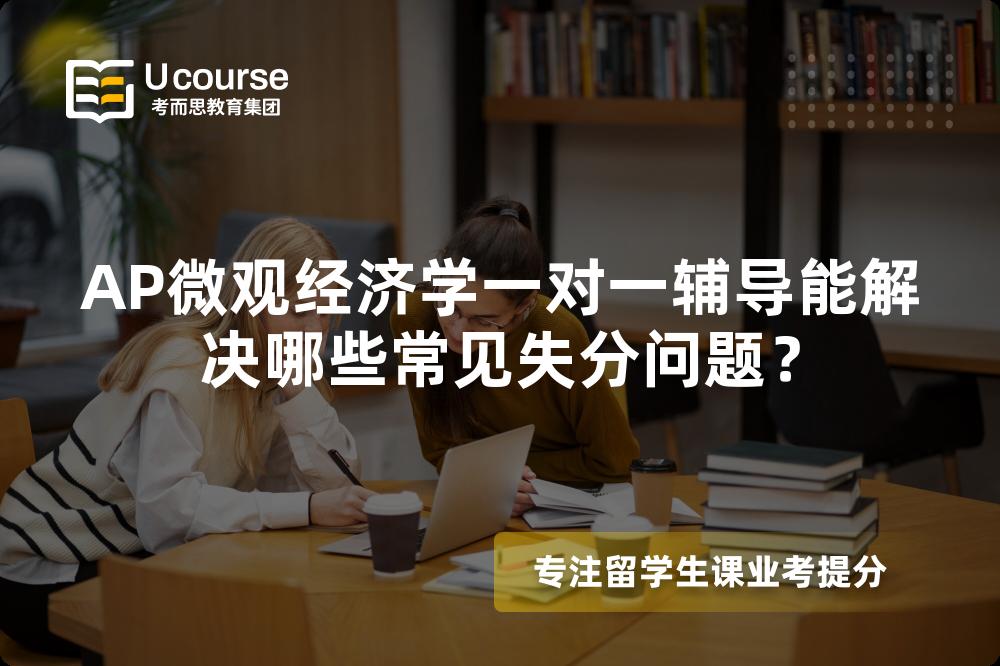 AP微观经济学一对一辅导能解决哪些常见失分问题？