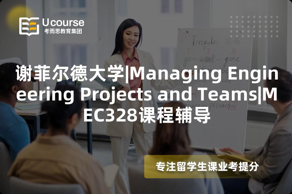 谢菲尔德大学|Managing Engineering Projects and Teams|MEC328课程辅导