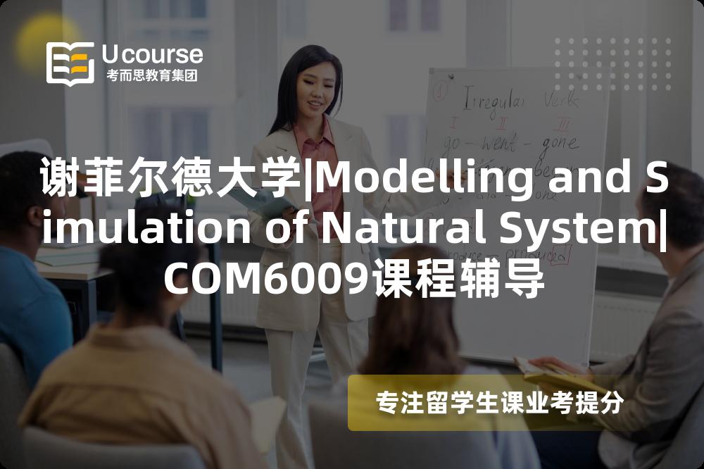 谢菲尔德大学|Modelling and Simulation of Natural System|COM6009课程辅导