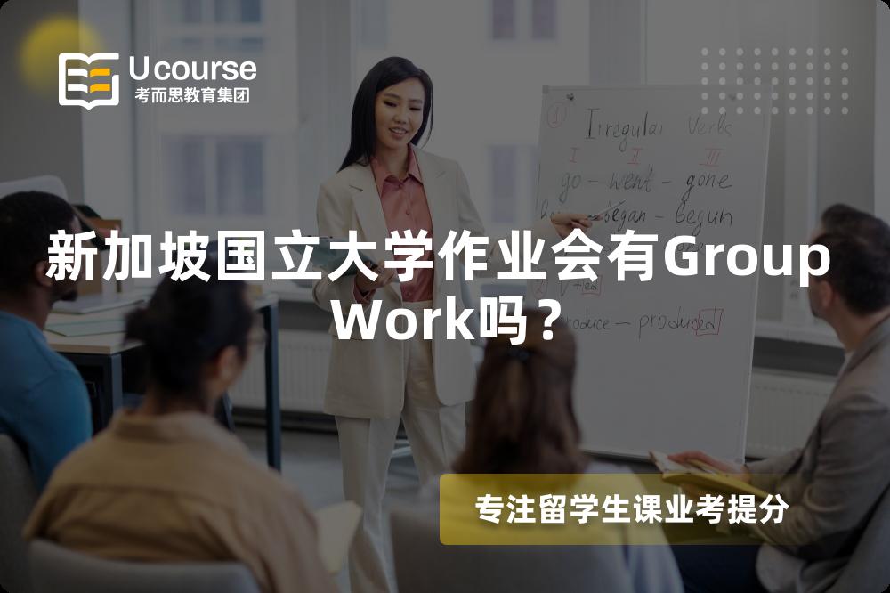 新加坡国立大学作业会有Group Work吗？