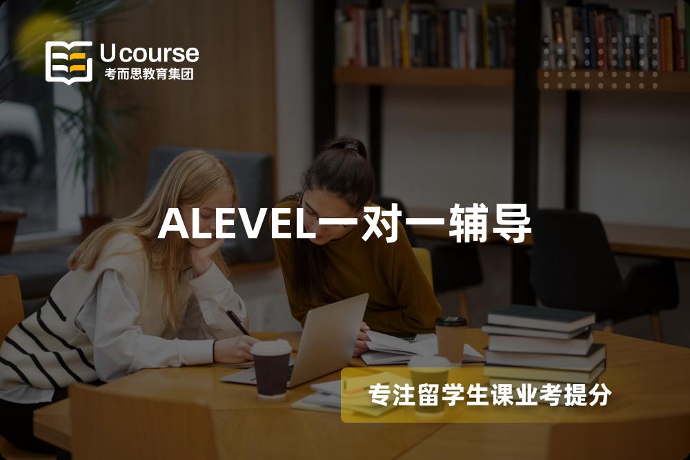 ALEVEL一对一辅导