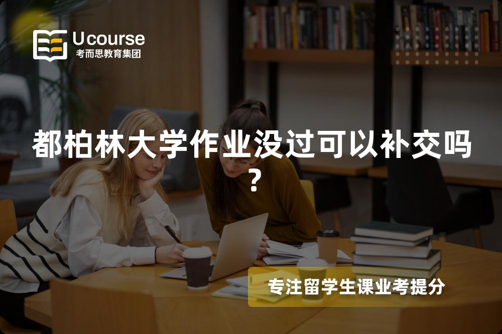 都柏林大学作业没过可以补交吗？