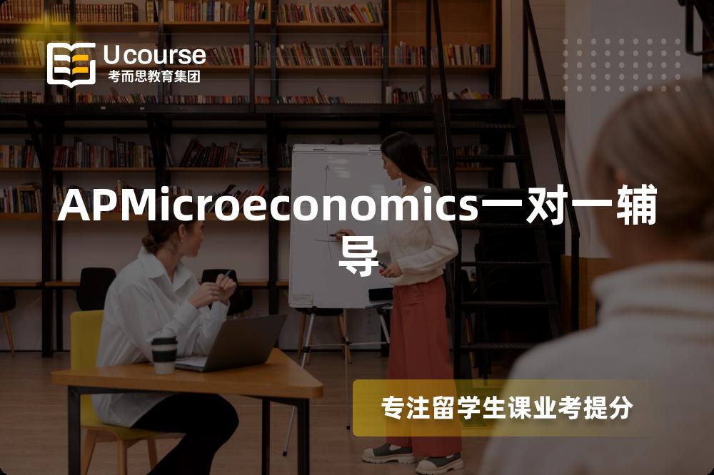 APMicroeconomics一对一辅导