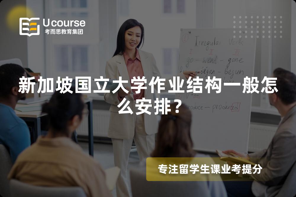 新加坡国立大学作业结构一般怎么安排？