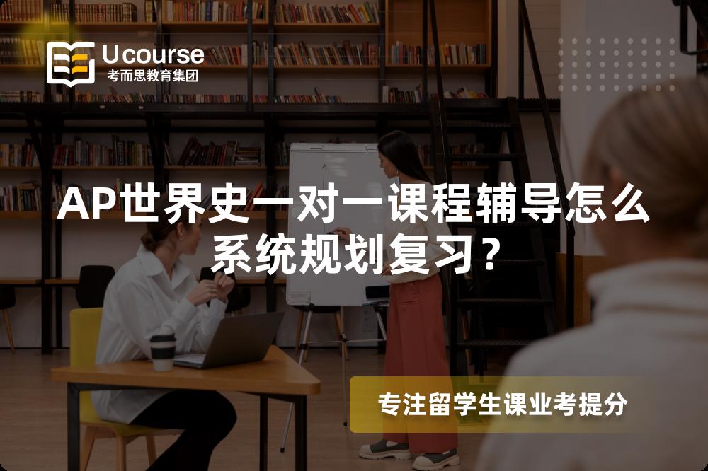 AP世界史一对一课程辅导怎么系统规划复习？