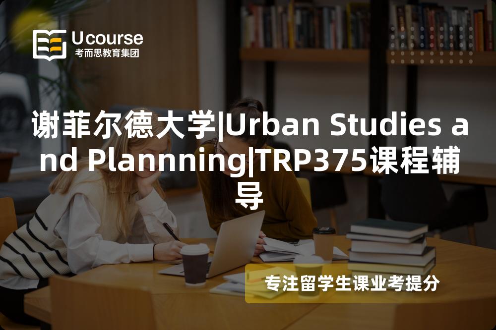 谢菲尔德大学|Urban Studies and Plannning|TRP375课程辅导