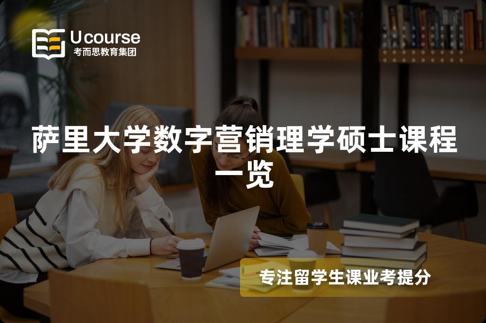 萨里大学数字营销理学硕士课程一览