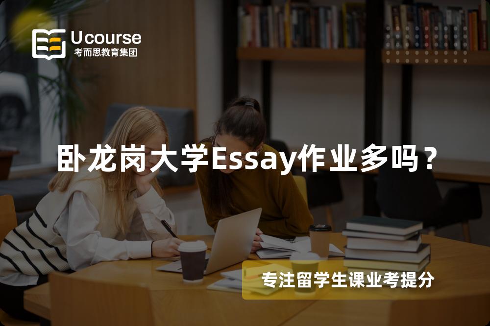 卧龙岗大学Essay作业多吗？