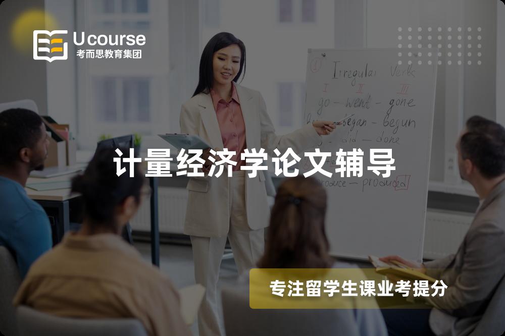 计量经济学论文辅导