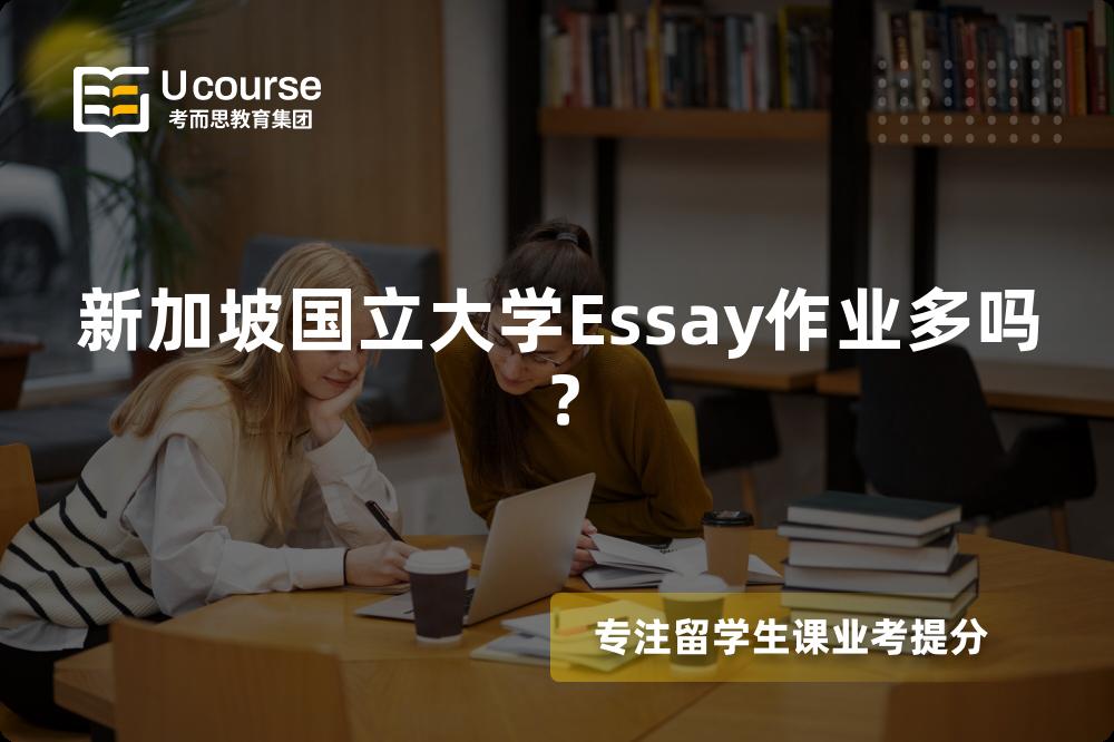 新加坡国立大学Essay作业多吗？