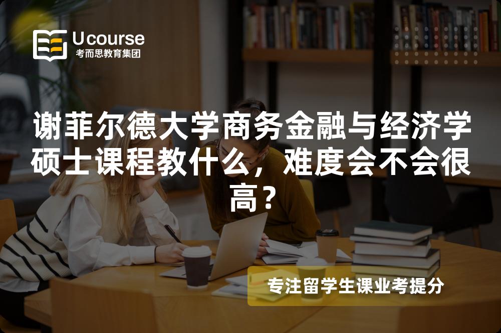 谢菲尔德大学商务金融与经济学硕士课程教什么，难度会不会很高？