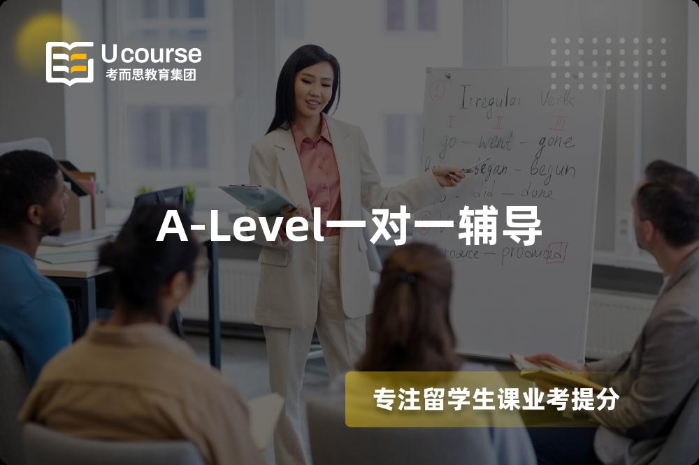 A-Level一对一辅导