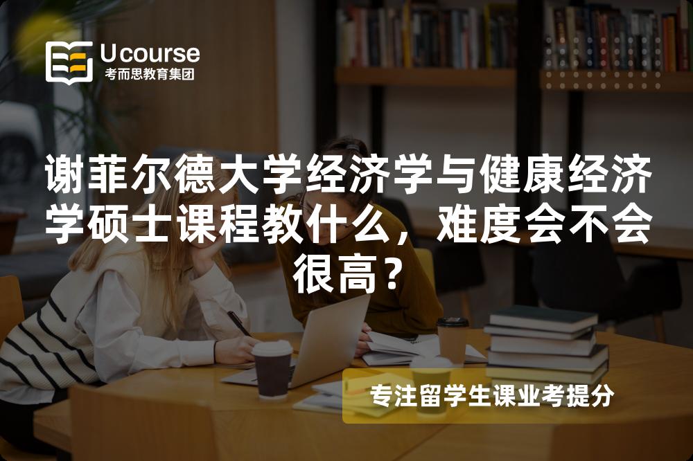谢菲尔德大学经济学与健康经济学硕士课程教什么，难度会不会很高？