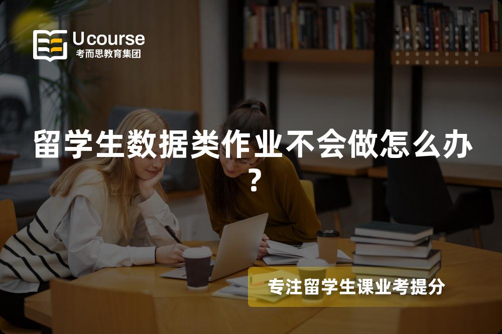 留学生数据类作业不会做怎么办？