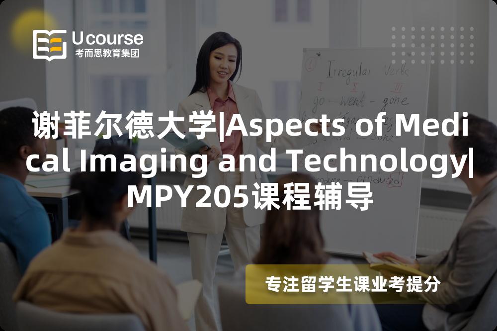 谢菲尔德大学|Aspects of Medical Imaging and Technology|MPY205课程辅导