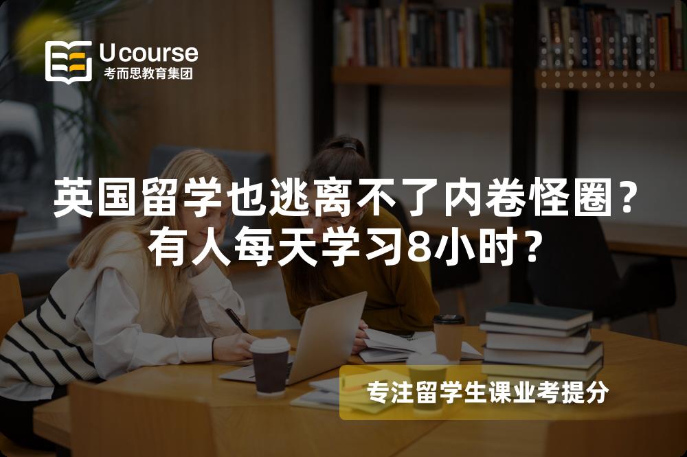 英国留学也逃离不了内卷怪圈？有人每天学习8小时？