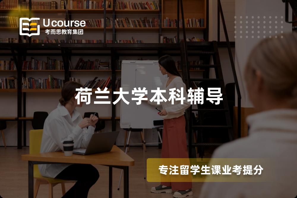 荷兰大学本科辅导