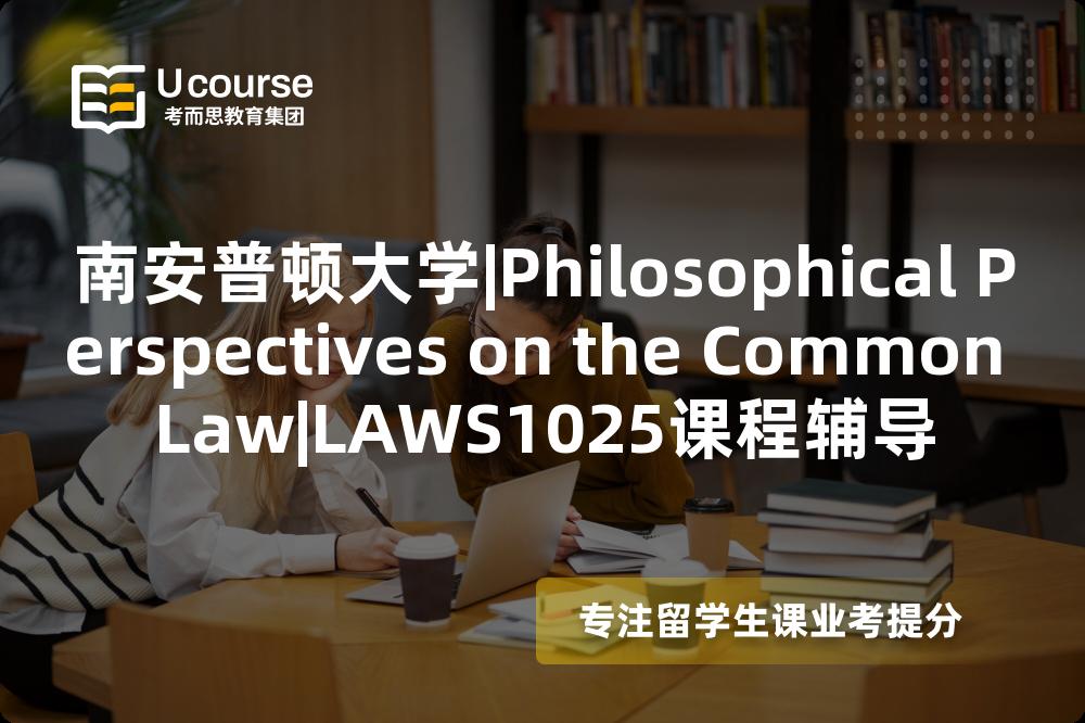 南安普顿大学|Philosophical Perspectives on the Common Law|LAWS1025课程辅导