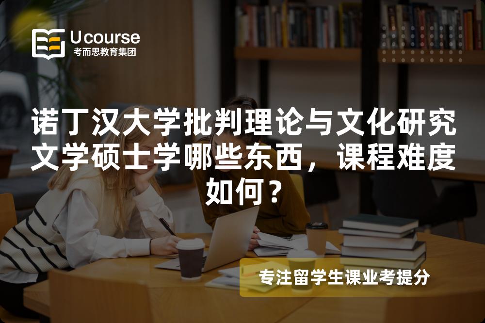 诺丁汉大学批判理论与文化研究文学硕士学哪些东西，课程难度如何？