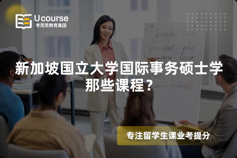 新加坡国立大学国际事务硕士学那些课程？
