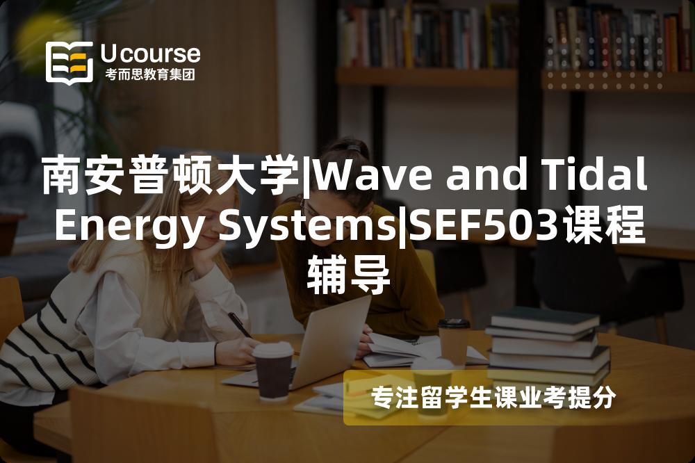 南安普顿大学|Wave and Tidal Energy Systems|SEF503课程辅导