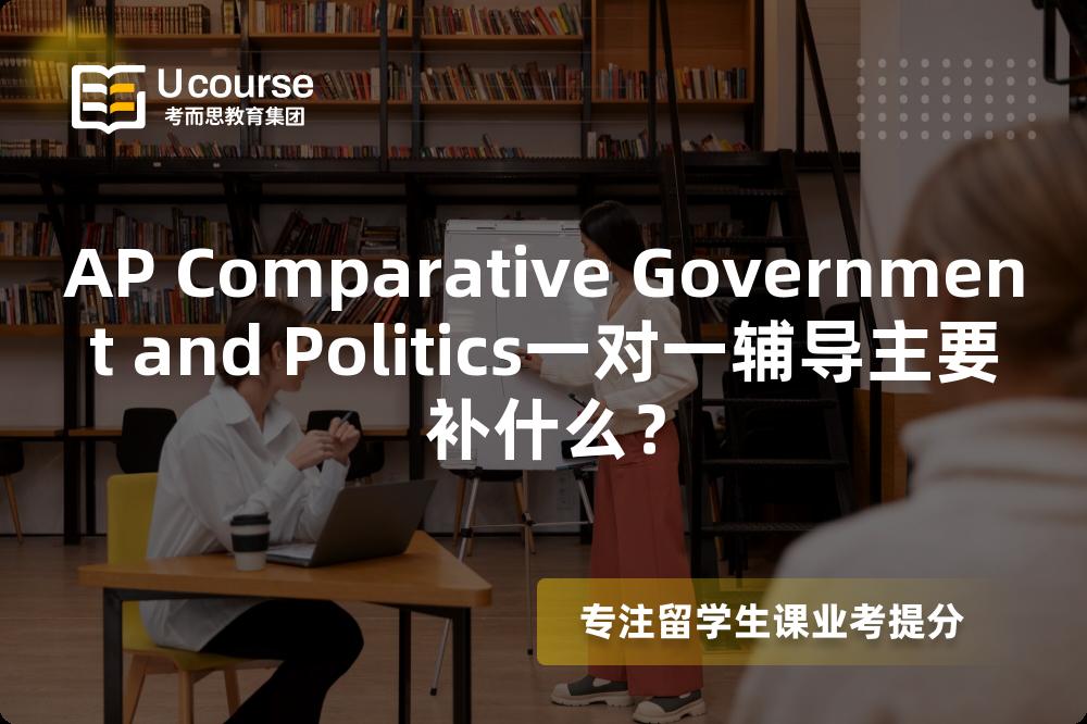 AP Comparative Government and Politics一对一辅导主要补什么？
