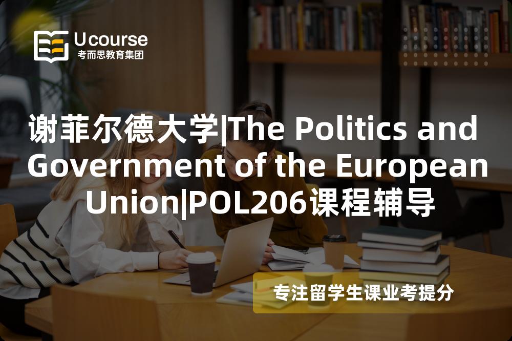 谢菲尔德大学|The Politics and Government of the European Union|POL206课程辅导