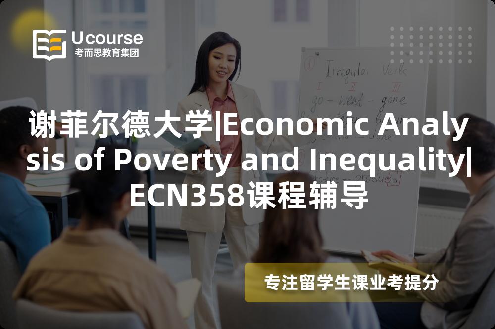 谢菲尔德大学|Economic Analysis of Poverty and Inequality|ECN358课程辅导