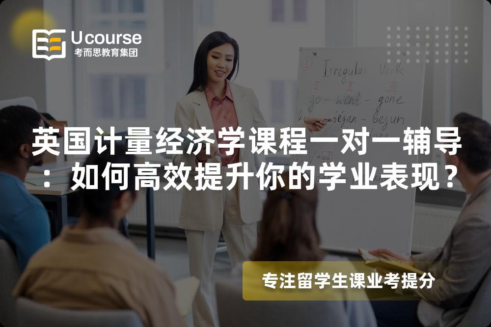 英国计量经济学课程一对一辅导:如何高效提升你的学业表现? 英国计量经济学课程一对一辅导:如何高效提升你的学业表现?