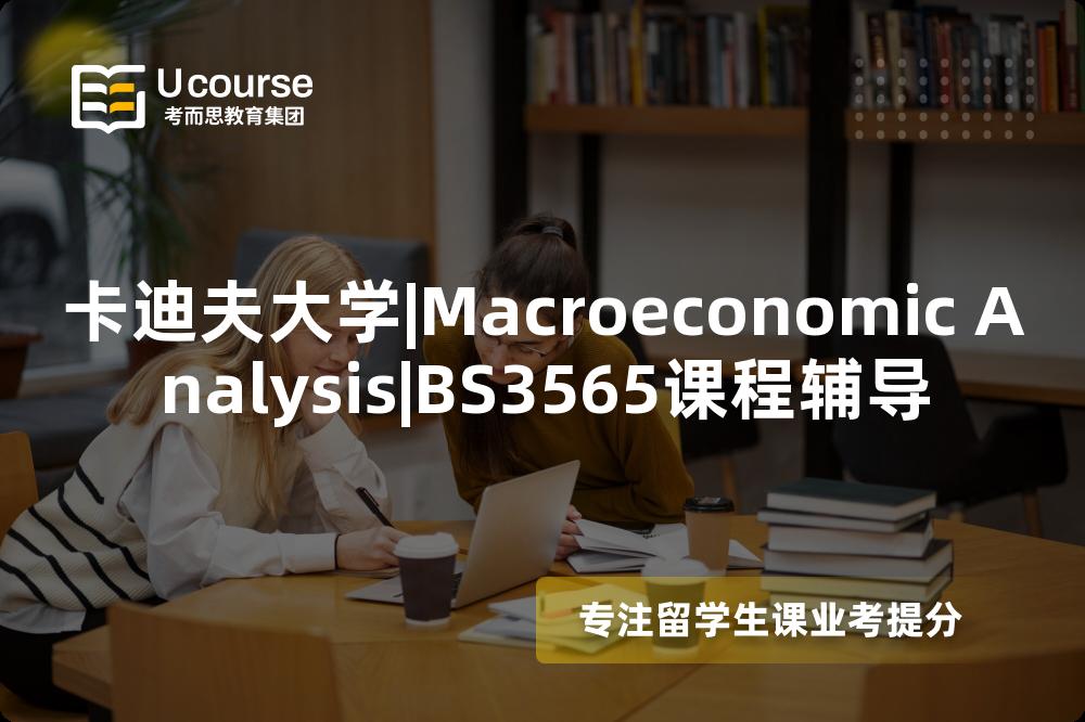卡迪夫大学|Macroeconomic Analysis|BS3565课程辅导