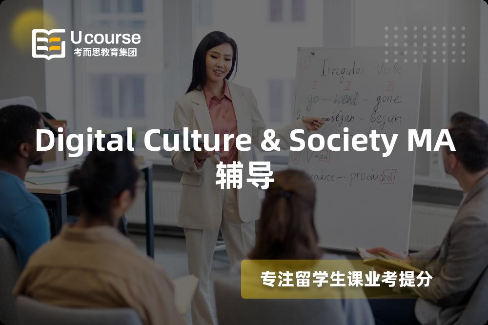 Digital Culture & Society MA辅导