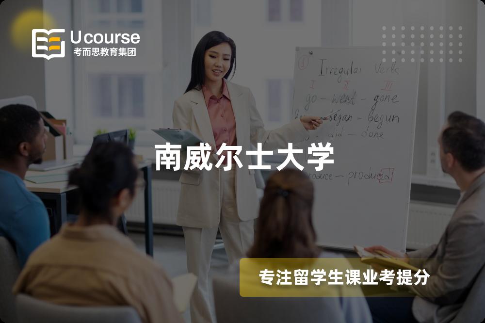 南威尔士大学