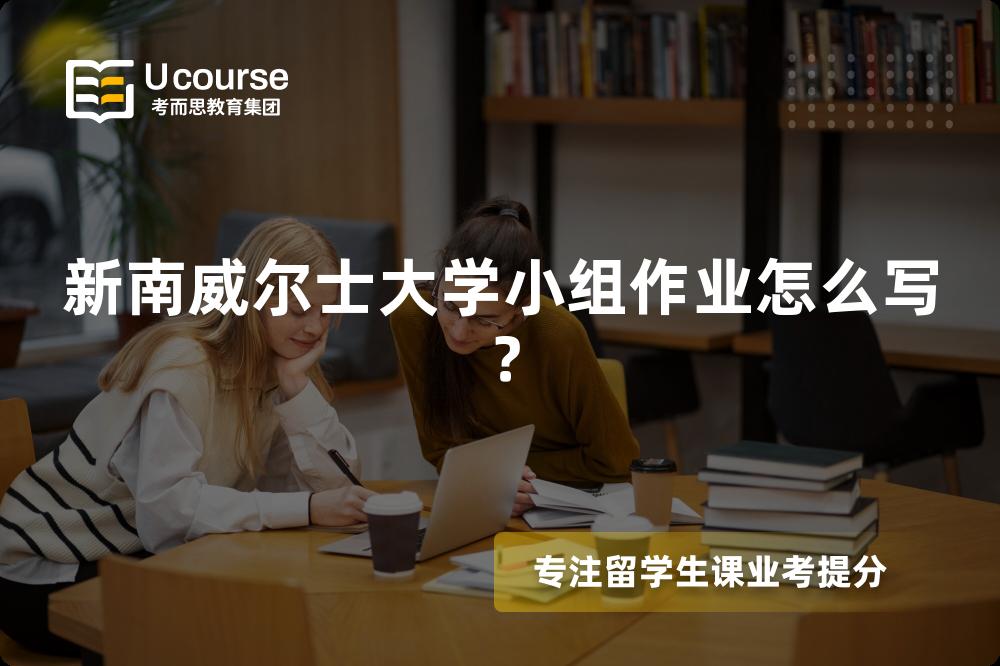 新南威尔士大学小组作业怎么写？