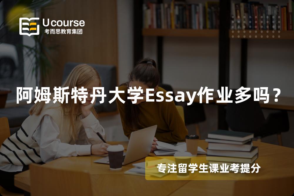 阿姆斯特丹大学Essay作业多吗？