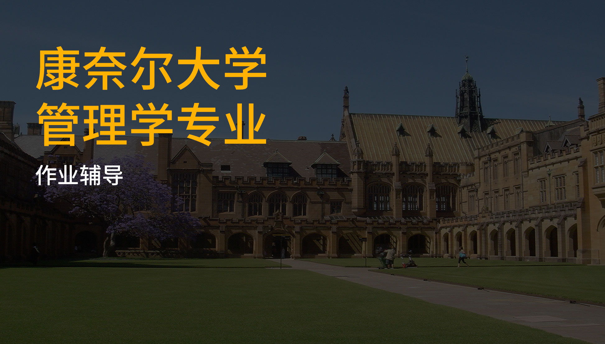 康奈尔大学管理学专业-作业辅导