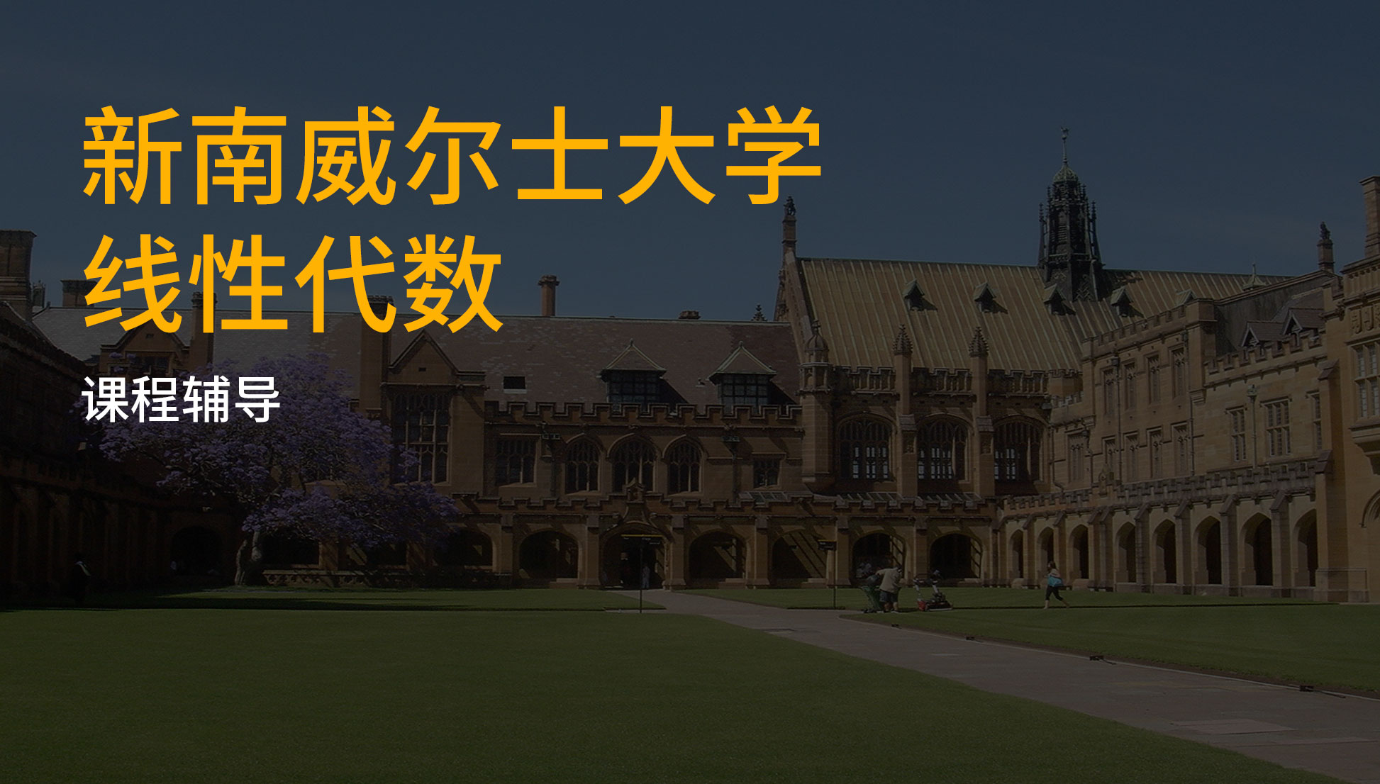 新南威尔士大学线性代数课程辅导