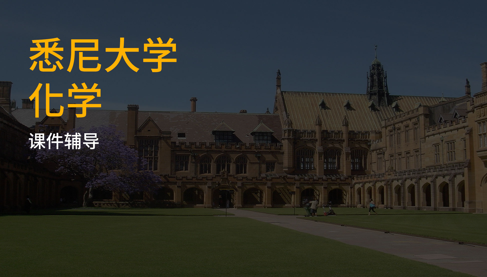 悉尼大学化学课件辅导