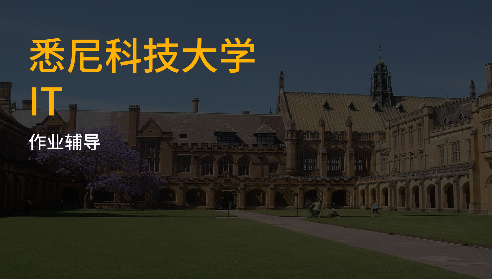 悉尼科技大学IT作业辅导