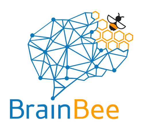 Brain Bee脑科学 Brain Bee脑科学
