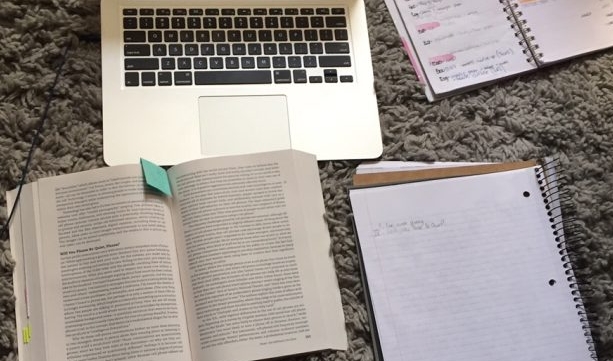 本科选课指导