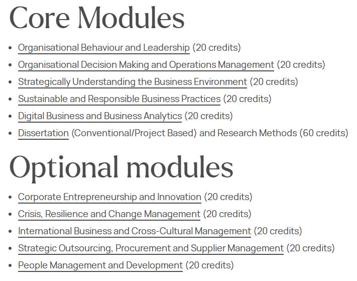 伯明翰大学MSc Management选课 伯明翰大学MSc Management选课