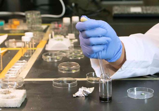 伯明翰大学化学工程研究生辅导