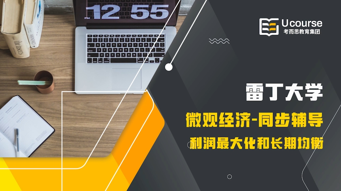 雷丁大学数学与经济本科微观经济学课程辅导
